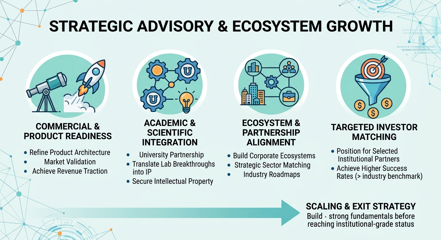Strategic Advisory Beyond Traditional Venture Capital for Scale-Ups and Research Spin-Outs Albania
